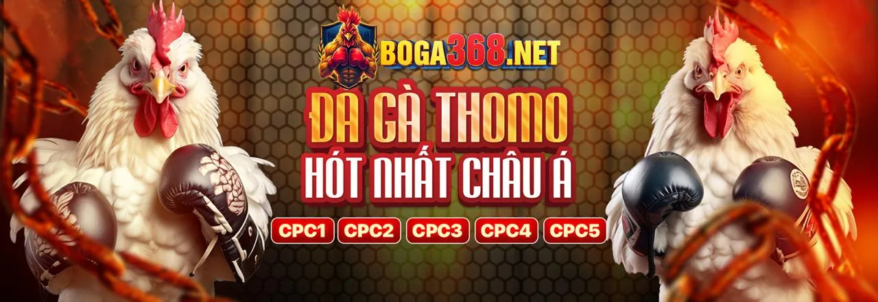 Hướng dẫn Bắt đầu Nhanh nw88